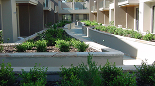 planter-boxes-waterproofing